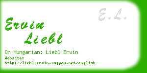 ervin liebl business card